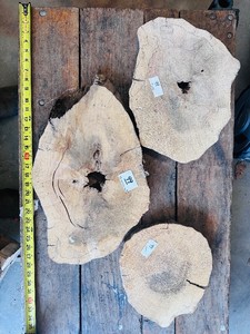 Lot of 3 CROSS CUT Live-Edge WOOD Project Pieces