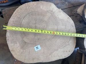 Beautiful Live-Edge CROSS SECTION PROJECT PIECE - 23-25W x 2 
