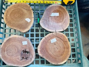 Lot of 4 WALNUT COOKIES  Centerpiece Bases  - Outdoor Wedding  Party  Decor, etc