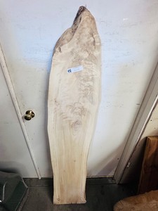 Gorgeous, Large piece of COTTONWOOD