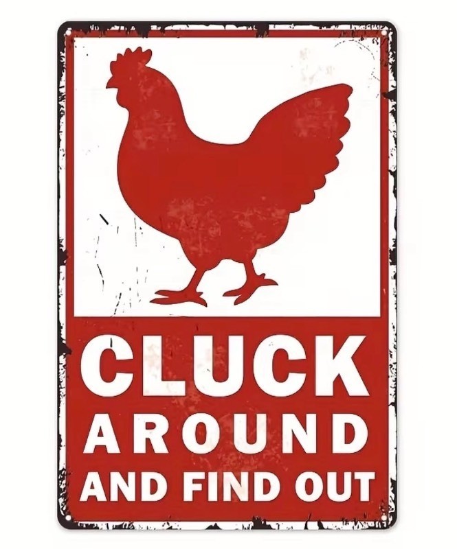 Cluck Around and Find Out Rooster 8 x 12 Metal Sign - Brand New