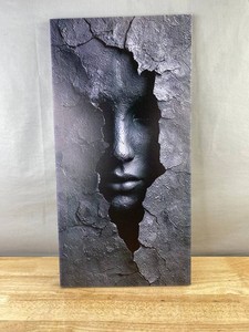 Abstract Face Wall Art 12 x 24 - Brand New