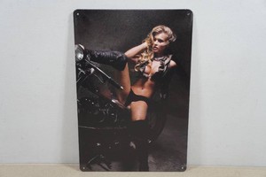 Novelty Metal Sign - Motorcycle
