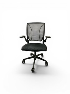 Humanscale Different World Chair