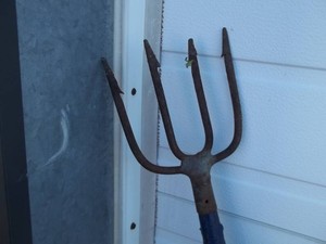 Vintage Spear