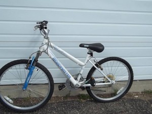Roadmaster Bike