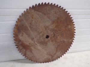 24 Saw Blade