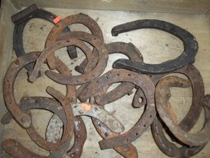 Horseshoe Lot