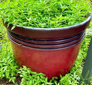 Burgundy Planter Pots (Lot of 4) SEE ALL PHOTOS