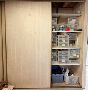 LARGE Mixed Household Storage Closet Assortment
