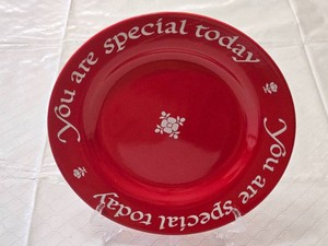 The Original Red Plate by Waechtersbach Germany