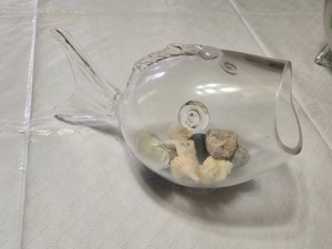 Glass Fish Shaped Decorative Bowl with Shells and Stones