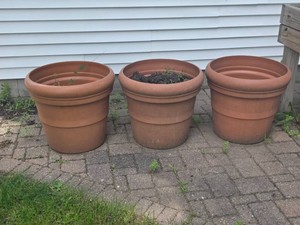 Plastic Terra Cotta Planters Measuring about 23 Inches