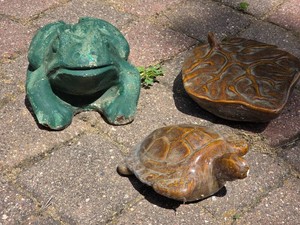 Decorative Frog, Turtle, and Leaf Accents