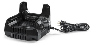 Briggs & Stratton  48-Volt Lithium-Ion Battery Charger