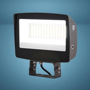 $89.99 Patriot Lighting  Bronze Dusk to Dawn LED Outdoor Flood Wall Light