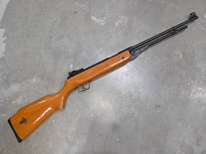 .177 Pellet Gun