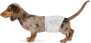 $15 Amazon Basics Leak-Proof, Super Absorbent Male Dog Diapers with Wetness Indicator, Comfortable Design, Breathable Disposable Wrap, Secure Fit, Small, 30 Count