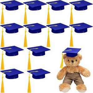 $19 Foilswirl 12 Pcs Mini Graduation Cap with Tassel Mini Plush Mason Jar Small Animal Bachelor Hat Photo Prop Party Supply