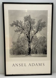 Framed Amsel Adams Print 25 x 37