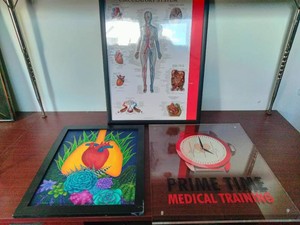 The framed art on the left features a stylized human heart surrounded by colorful succulent plants.