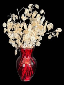 LR - Red Glass Vase With Dried Lunaria Stems