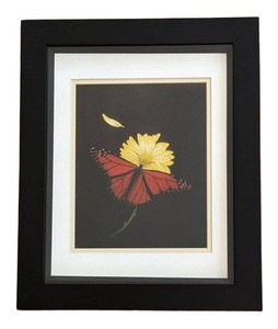 LR - Framed Butterfly Print