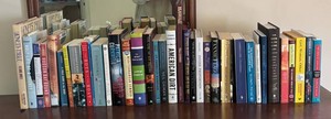 BR1 - Mixed Book Lot - Fiction & Literary Novels and More