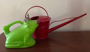 BR1 - Two Watering Cans