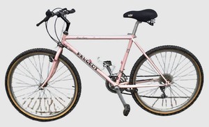 G - Vintage Mountain Bike Peugeot Canyon Express