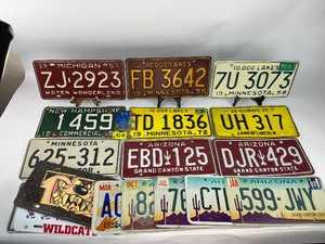 License Plate Collection - Minnesota, Michigan, New Hampshire, Illinois, Arizona, Plus Plate Covers - Wildcats, Taz