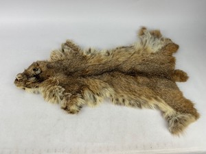 Lynx Taxidermy Fur Pelt