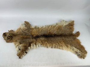 Lynx Taxidermy Fur Pelt