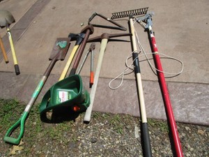 Pole saw, garden spade & rake, brus...
