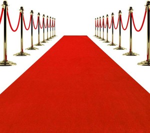 Red Carpet Runner 3x10 ft   Non-Slip Rug