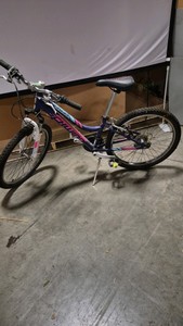schwinn bicycle