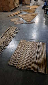bamboo and reeds