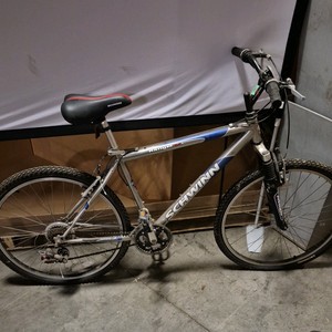 schwinn bicycle