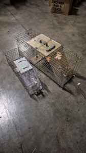 live animal traps