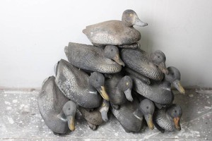 Duck Hunting Decoys