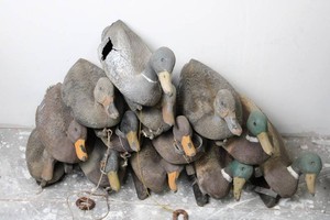 Duck Decoy Collection