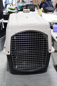 Large Plastic Pet Crate Kennel With Metal Door 40 x 28 X 29.5