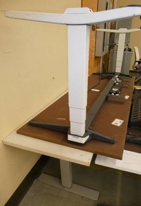 White 80x24 table and Steelcase Woodgrain 78x30 both electric adjustable height tables