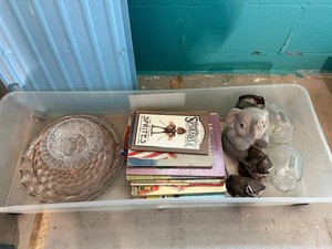 Childrens Books, Pressed Glass & Figurines Mixed Lot