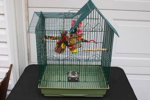 Bird Cage...
