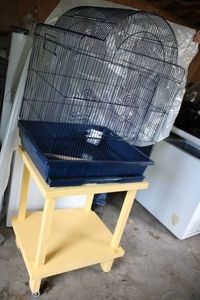 Bird Cage with stand on wheels...