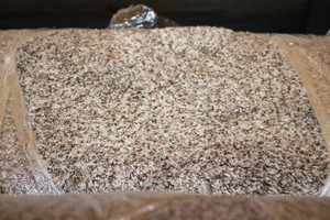 12 Foot Roll of Brand New Carpet...