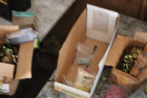 Lot of electrical supplies...