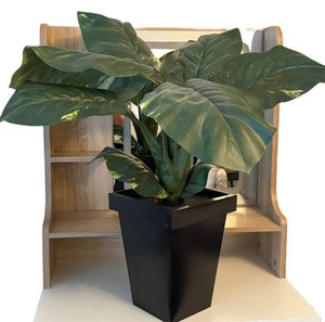 LL - Artificial Philodendron Plant in Black Planter
