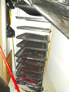 Freestanding Metal Drying Rack With Plastic Trays Approx 6 Ft Tall